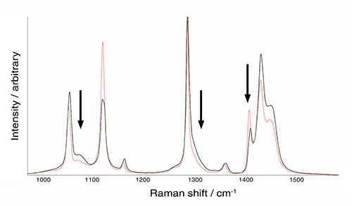 Raman-Spektren zweier Polyethylen-Proben mit unterschiedlicher Kristallinität