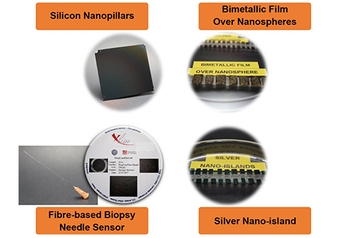 Examples of SERS-based substrate, optical fibre and assay
