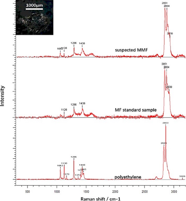 Spectra of Microplastics from Films in Mulch in China